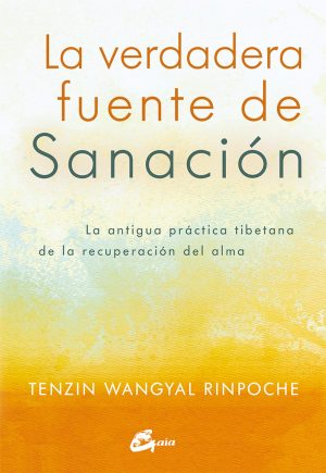 LA VERDADERA FUENTE DE SANACION 9788484456186