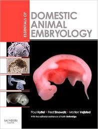 ESSENTIALS OF DOMESTIC ANIMAL EMBRYOLOGY 9780702028991