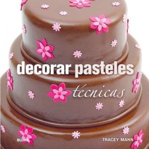 DECORAR PASTELES: TECNICAS 9788415317647