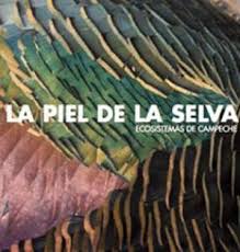LA PIEL DE LA SELVA 9788415427933