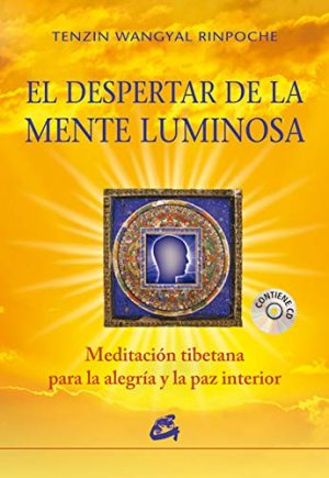 EL DESPERTAR DE LA MENTE LUMINOSA 9788484454847