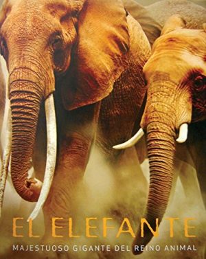 EL ELEFANTE. MAJESTUOSO GIGANTE DEL REINO ANIMAL 9781407548036