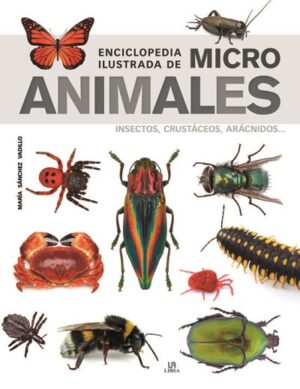 ENCICLOPEDIA ILUSTRADA DE MICRO ANIMALES INSECTOS, CRUSTACEOS, ARACNIDOS 9788466239011