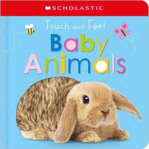 TOUCH AND FEEL BABY ANIMALS 9780545903196