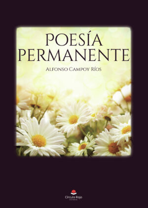 POESÍA PERMANENTE 9788411041805