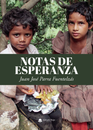 NOTAS DE ESPERANZA 9788411047739