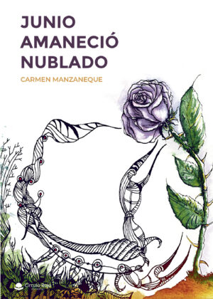 JUNIO AMANECIÓ NUBLADO 9788413048635