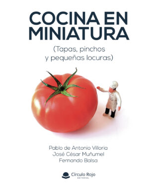 COCINA EN MINIATURA (TAPAS, PINCHOS Y PEQUEÑAS LOCURAS) 9788413851891