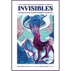 INVISIBLES 9798385527397