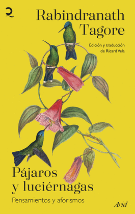PAJAROS Y LUCIERNAGAS 9786287569690